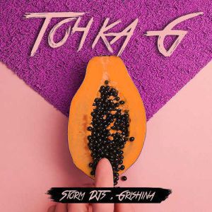 Storm DJs & Grishina - Точка G Storm DJs & Grishina - Точка G
