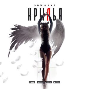 SDW, LXE - Крылья SDW, LXE - Крылья