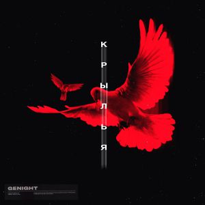 GENIGHT - Крылья GENIGHT - Крылья
