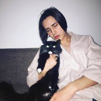 FACE - Кот FACE - Кот