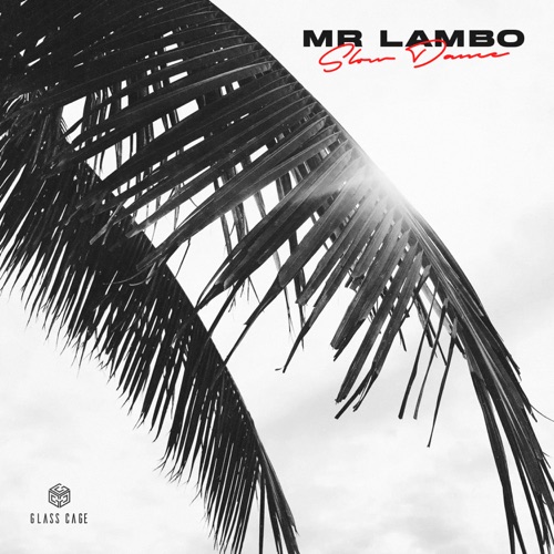 Mr Lambo - Slow Dance Mr Lambo - Slow Dance