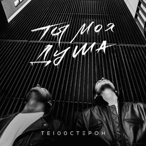 Те100стерон - Ты Моя Душа Те100стерон - Ты Моя Душа