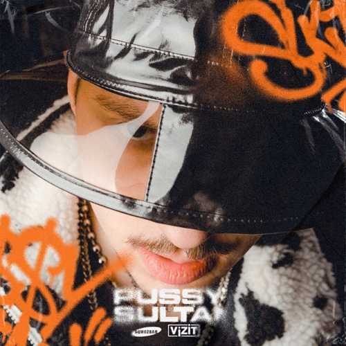 Sqwoz Bab - Pussy Sultan (feat. Vizit) Sqwoz Bab - Pussy Sultan (feat. Vizit)