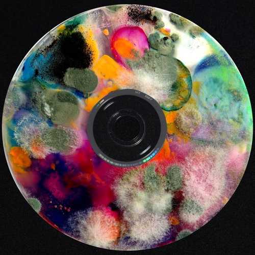 Boulevard Depo - Manhunt (feat. Jeembo) Boulevard Depo - Manhunt (feat. Jeembo)