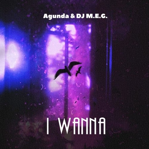 Agunda - I Wanna (feat. DJ M.E.G.) Agunda - I Wanna (feat. DJ M.E.G.)