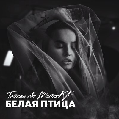 Тайпан - Белая Птица (faet. MorozKA) Тайпан - Белая Птица (faet. MorozKA)