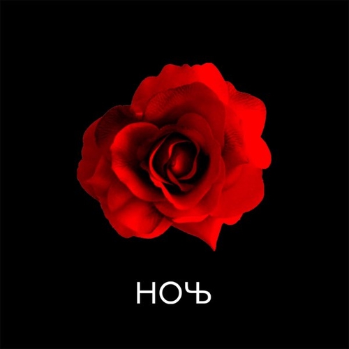 Ночь - Роза Ночь - Роза