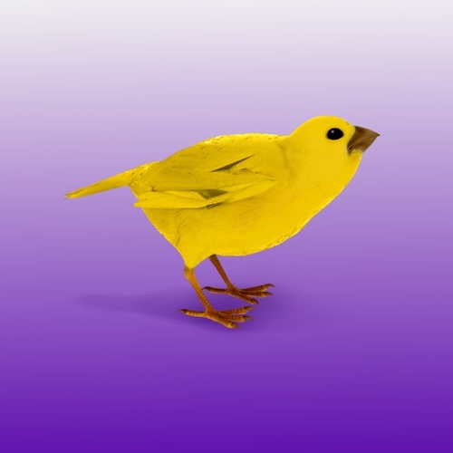 Монеточка - Шаганэ Монеточка - Шаганэ