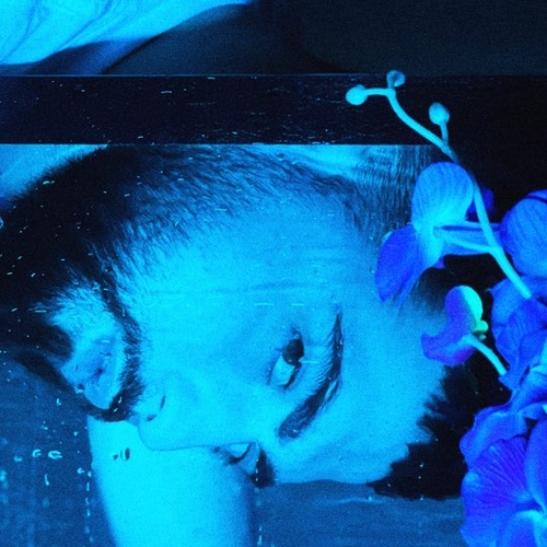 Jabo - Homie Jabo - Homie