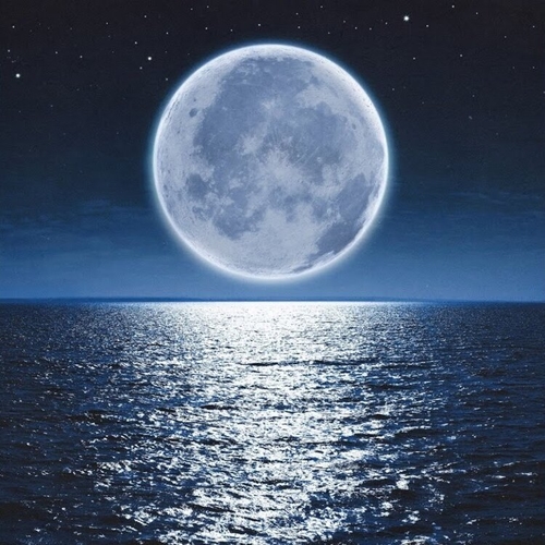 Pizza - Мерцала Pizza - Мерцала