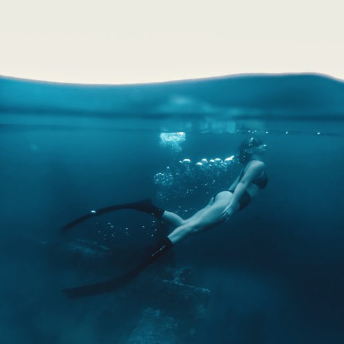 Gazirovka - Murena Gazirovka - Murena