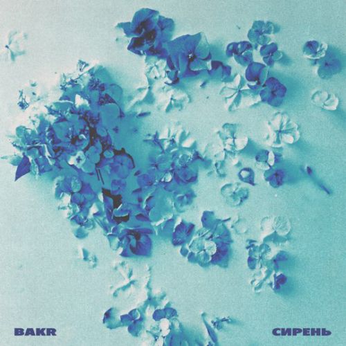 Bakr - Сирень Bakr - Сирень