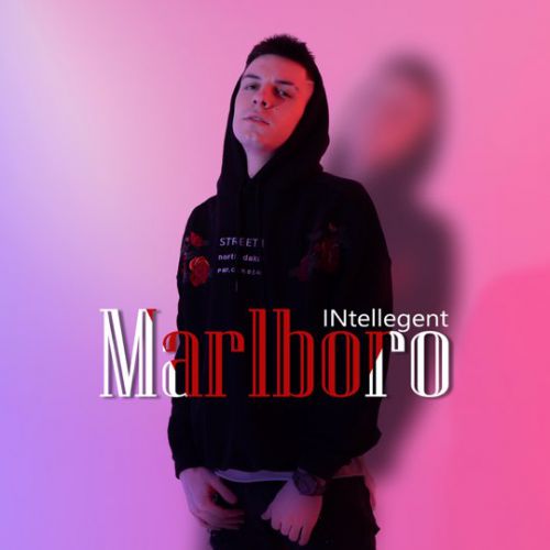 INtellegent - Marlboro INtellegent - Marlboro