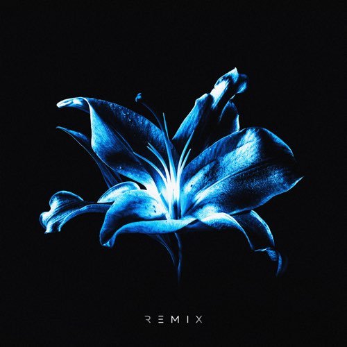 Рум & Рам - Лилии (Glazur & Xm Remix) Рум & Рам - Лилии (Glazur & Xm Remix)