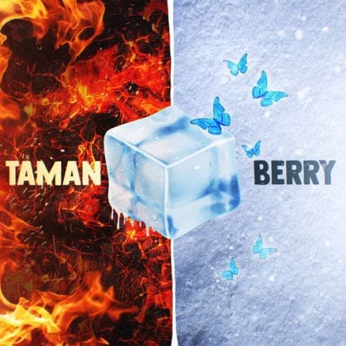Taman - Дискотека 90-х (feat. Berry) Taman - Дискотека 90-х (feat. Berry)