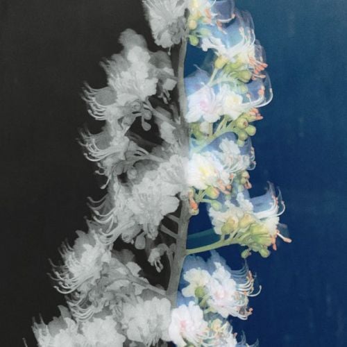 Rauf - Alone Again (feat. Faik) Rauf - Alone Again (feat. Faik)