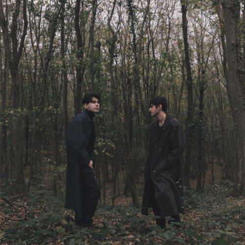 Rauf - Animal (feat. Faik) Rauf - Animal (feat. Faik)