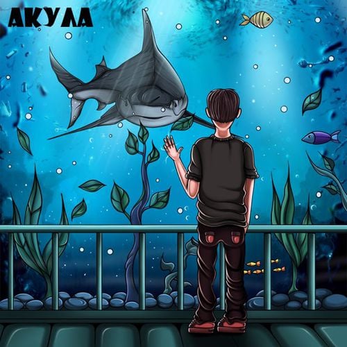 Chornobryvyi - Акула Chornobryvyi - Акула