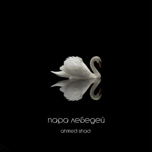 Ahmed Shad - Пара Лебедей Ahmed Shad - Пара Лебедей
