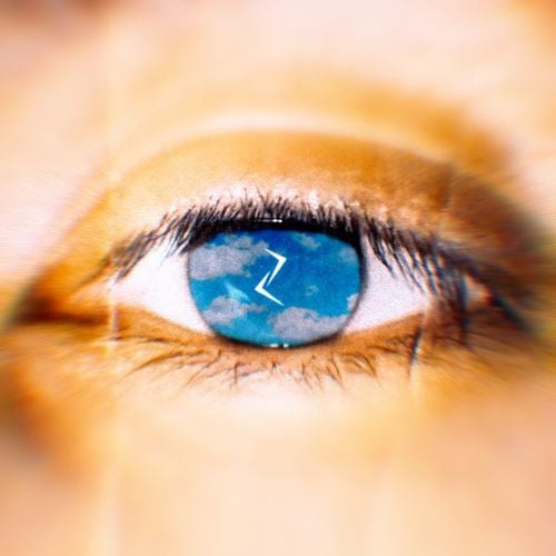 Slimz - Оставлю Небесам Slimz - Оставлю Небесам