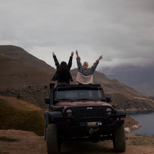 FIDELLE, Аниса - Вечная молодость FIDELLE, Аниса - Вечная молодость