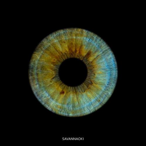 SavannaOki - Глаза SavannaOki - Глаза