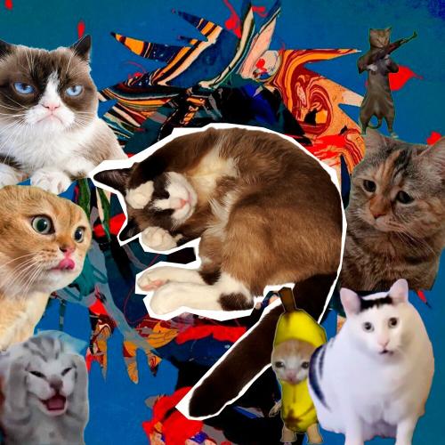 FYVO - Chipi Chipi Chapa Chapa FYVO - Chipi Chipi Chapa Chapa