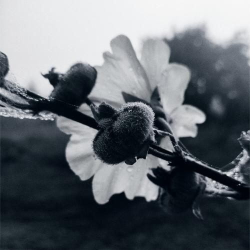 zerix - просто так больно zerix - просто так больно