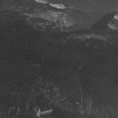 PHARAOH, White Punk - Unplugged 2: Love Kills PHARAOH, White Punk - Unplugged 2: Love Kills