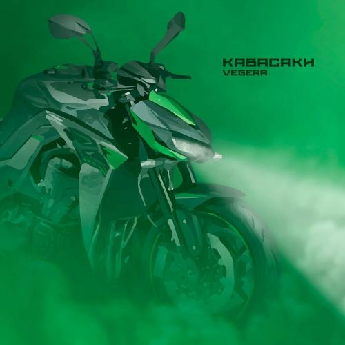 VEGERA - Кавасаки VEGERA - Кавасаки