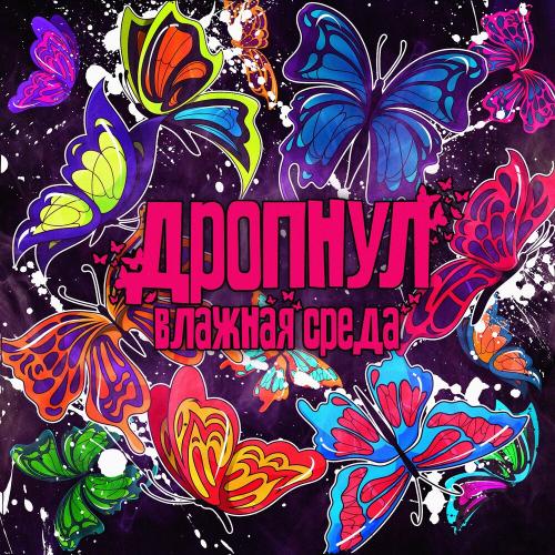 Влажная Среда - Дропнул Влажная Среда - Дропнул