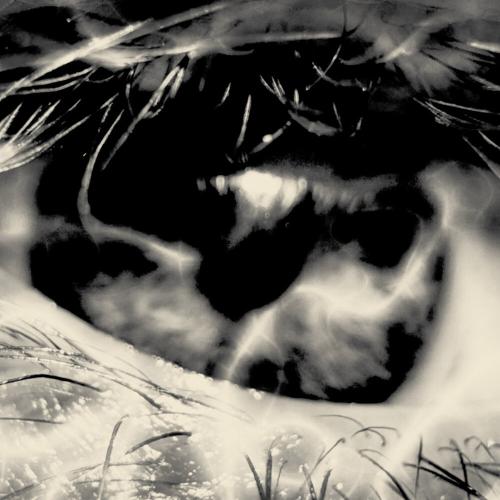 LILDRUGHILL - umbrella LILDRUGHILL - umbrella