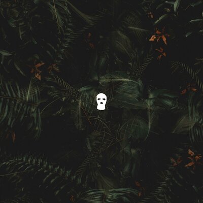 Silecut - nas ne dogonyat