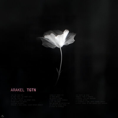 АRAKEL - TGTN
