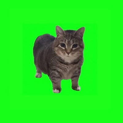 Luk - Oiiia Oiia Oi Oia Uiia Cat (Spinning Cat) (Radio Edit)