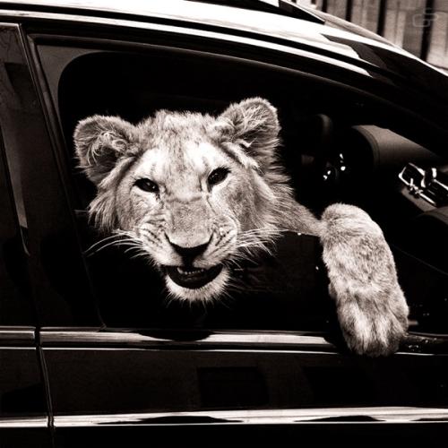 MACAN & Kiliana - Спокойной ночи