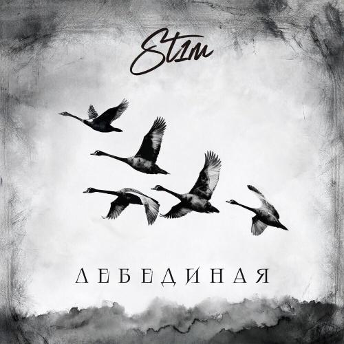ST1M - Лебединая