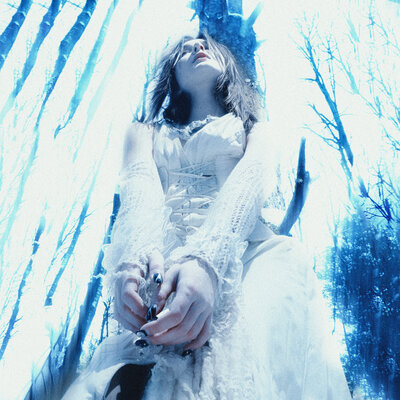 senechka - цикады