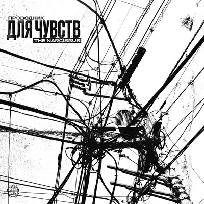 The Narcissus - Проводник для чувств