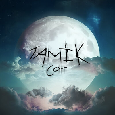 Tamik - Сон