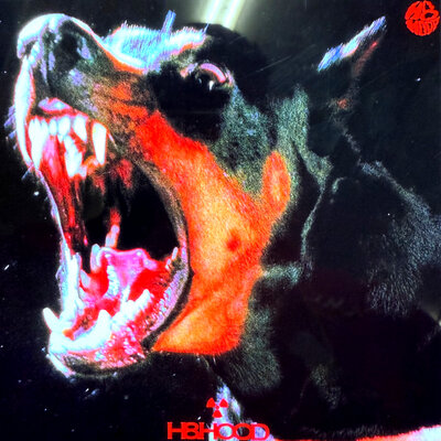 H8.HOOD - Firestarter