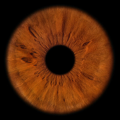 TERRY - Спи, моя бессонница