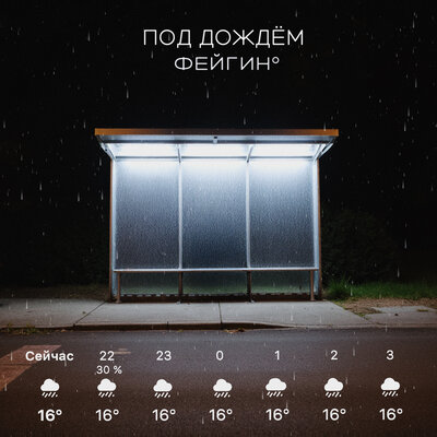 Фейгин - Под дождём