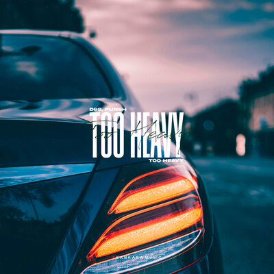 D&S & PUNSH - Too Heavy