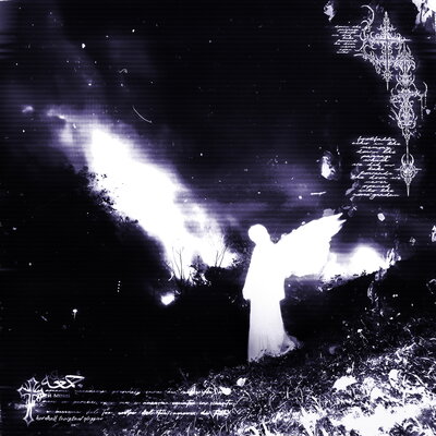 Kordhell & Twisted & glossier - TRAGELUXE