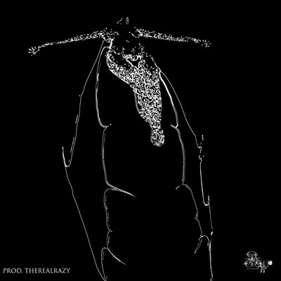 HOFMANNITA & VAROHA - FIRE HOFMANNITA & VAROHA - FIRE