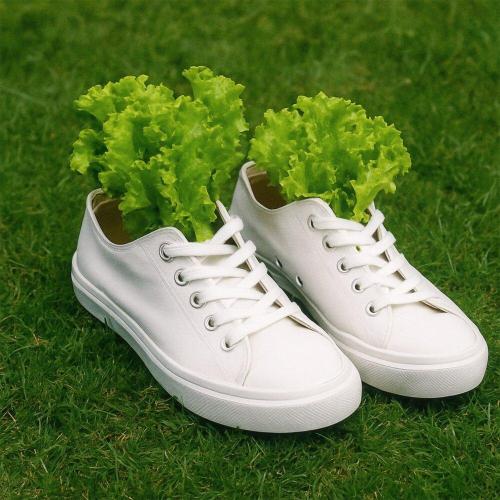 LATOOK - Кроссовки