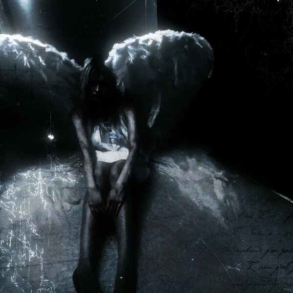 grcz & erialess - angelonia