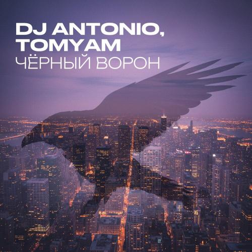 Dj Antonio, TomYam - Чёрный ворон