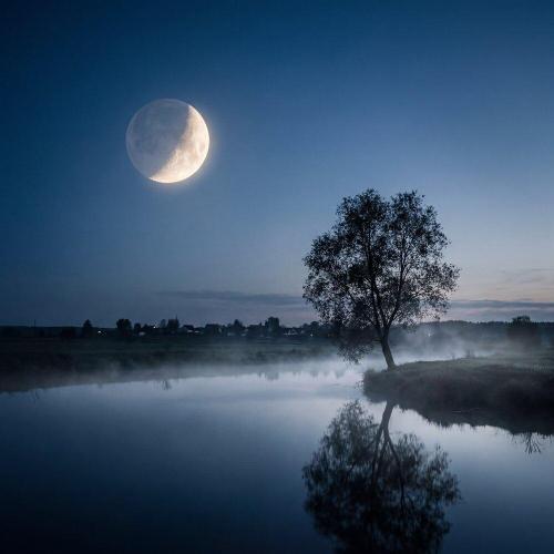 Dj Нейрофомин - Я покинул родимый дом